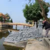 Rồng bậc - RB3