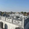Tam sơn hậu bành - TSHB10